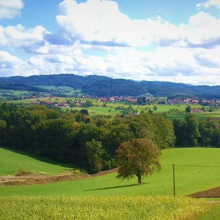 Haus Buehrer Guest house 4*