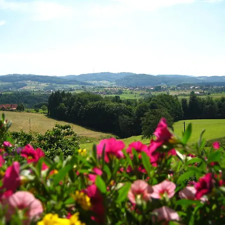Гостевой дом Haus Buehrer Фрайамт