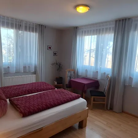 Haus Buehrer Guest house