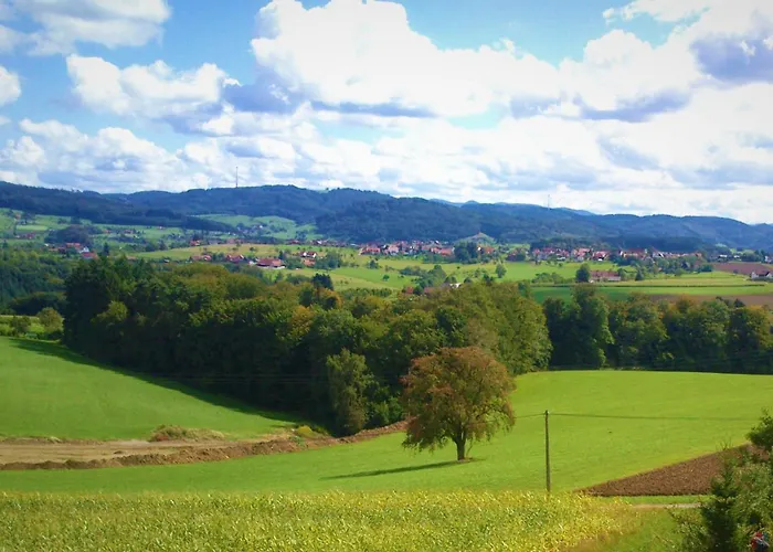 Haus Buehrer 게스트하우스 4*