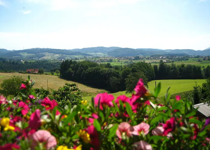 게스트하우스 Haus Buehrer 프라이암트